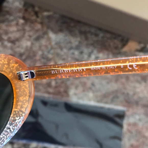 Host Pick🎉🔥BURBERRY sunglasses, case, cloth - Picture 10 of 11